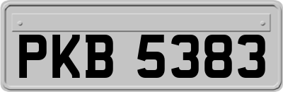 PKB5383