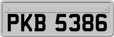 PKB5386