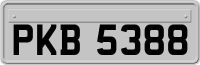 PKB5388