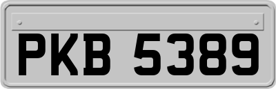 PKB5389
