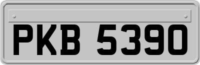 PKB5390