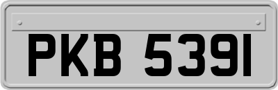 PKB5391