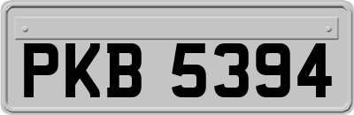 PKB5394