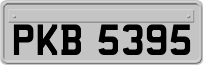 PKB5395