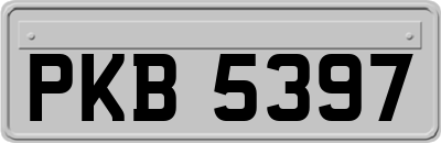 PKB5397