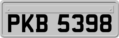 PKB5398