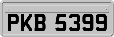 PKB5399