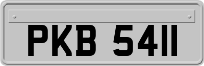PKB5411