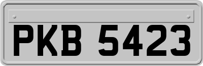 PKB5423
