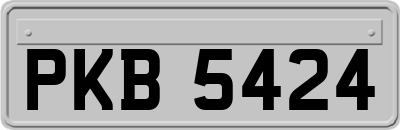 PKB5424