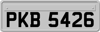 PKB5426