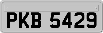 PKB5429