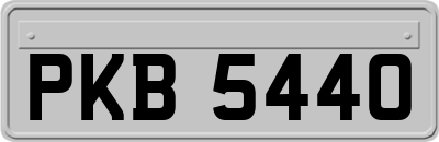 PKB5440