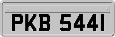 PKB5441