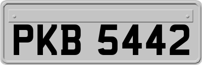 PKB5442