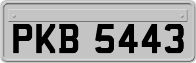 PKB5443