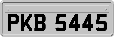 PKB5445