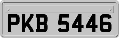 PKB5446