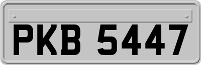 PKB5447