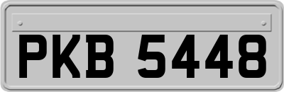 PKB5448