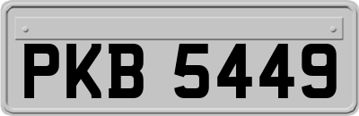 PKB5449