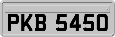 PKB5450