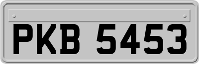 PKB5453