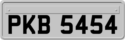 PKB5454