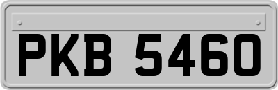 PKB5460