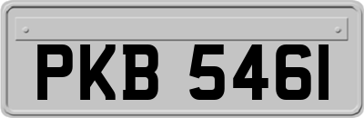 PKB5461