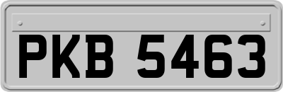 PKB5463