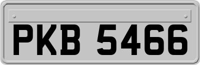 PKB5466