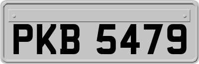 PKB5479