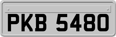 PKB5480