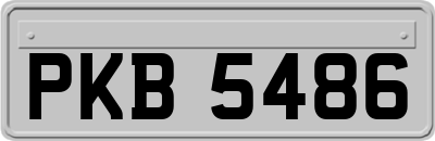 PKB5486