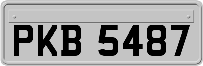 PKB5487