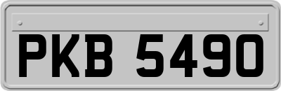 PKB5490