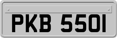 PKB5501