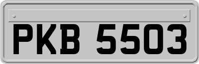 PKB5503