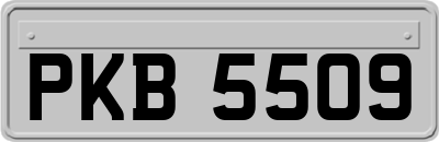 PKB5509