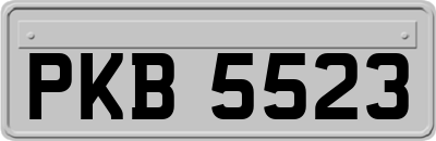 PKB5523