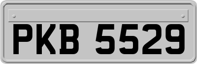 PKB5529