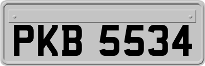 PKB5534