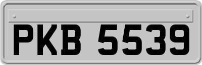 PKB5539