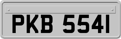 PKB5541