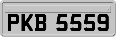 PKB5559