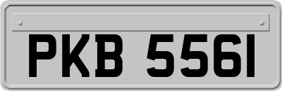 PKB5561