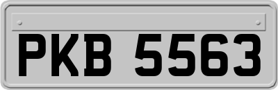 PKB5563