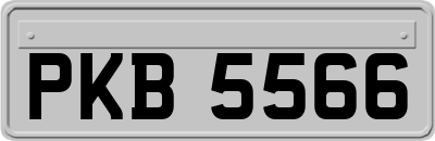 PKB5566