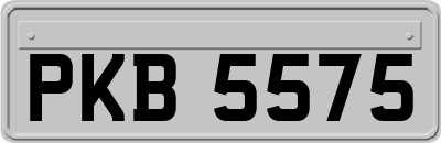 PKB5575